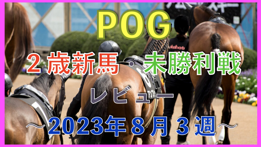 【POG向け】２歳新馬・未勝利戦レビュー【2023年８月３週】